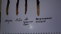 20170204_104017.jpg