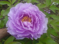 DSC01552.JPG
