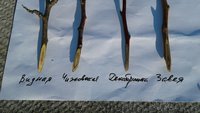 20170205_141023_resized.jpg