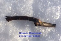 IMG_5866.JPG