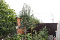 IMG_7976.JPG