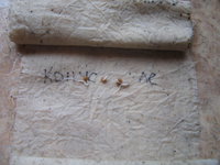 1616672.jpg