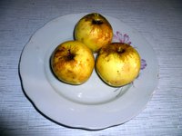 Антоновка Обыкновенная 09.02.2017г..jpg
