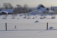 DSC_0166.jpg