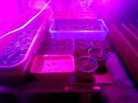 IMG_20170211_100508.jpg