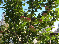 DSCN0484.JPG