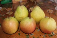 IMG_6905.jpg