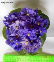 DSCN1403.JPG