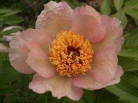 DSC_0048.jpg