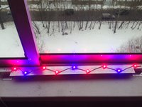 IMG_1167.JPG