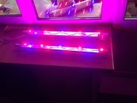 IMG_1163.JPG