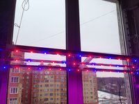 IMG_1166.JPG