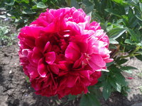2016-07-01 16.14.34.jpg