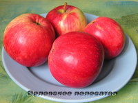 Орловское полосатое