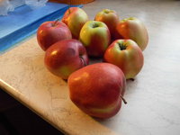 DSCN8204.JPG