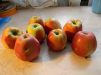 DSCN8206.JPG