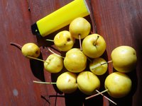 DSC05676-01.jpg