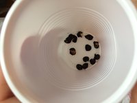 IMG_8433.JPG