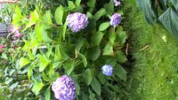 WP_20160721_08_06_01_Pro.jpg