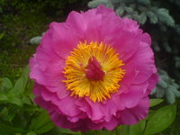 DSC01882.JPG