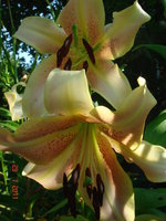 DSC07038.JPG