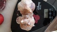 20161003_165543.jpg