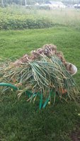 IMG-20160908-WA0004.jpg