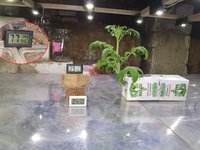 555.jpg