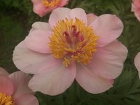 DSC_0094.jpg