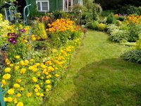 IMG_20160811_113436.jpg