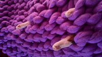 20170225_155714.jpg