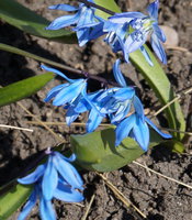 DSC000701.jpg