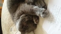 20170225_152357.jpg
