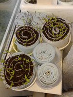 20160510_083610.jpg