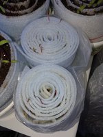 20160510_083619.jpg