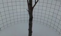 20170227_154348.jpg