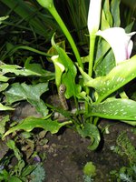 2012.07.23.04.jpg