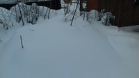 28.02.17.4.jpg