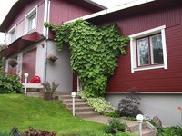 1 (28).jpg