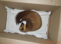 DSCN1740.JPG