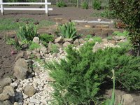 IMG_0926.JPG