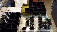 20170305_175420.jpg