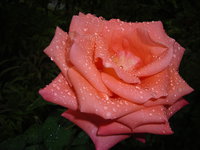 DSCN4699.JPG
