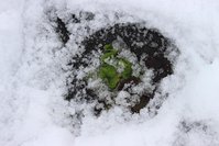 IMG_6948.jpg