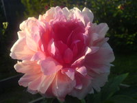 DSC02128.JPG
