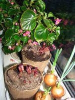 IMG_2473.JPG