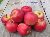 blagaja_vest_24-09.jpg