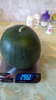 IMG_20160813_175425.jpg