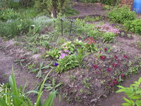 2015.05.26.55.jpg