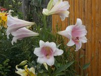 DSCN0640.JPG